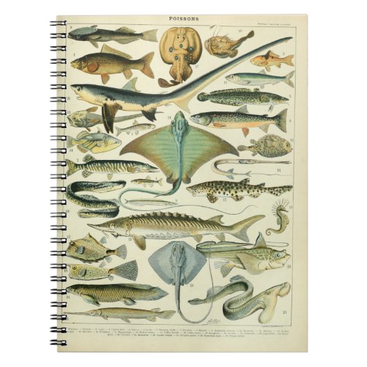 Illustratie van de Vintage van Poissons Notitieboek (Voorkant)