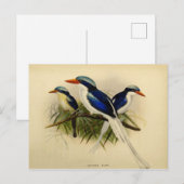 Illustratie van de visser briefkaart (Voorkant / Achterkant)