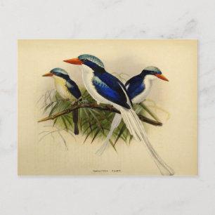 Illustratie van de visser briefkaart