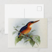 Illustratie van de visser briefkaart (Voorkant / Achterkant)