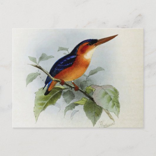 Illustratie van de visser briefkaart (Voorkant)