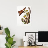 Illustratie van de  vliegende eekhoorn poster (Thuiskantoor)