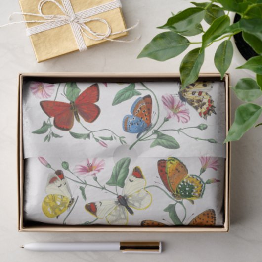Illustratie van de vlinder Weefpapier Tissuepapier (Geschenk)