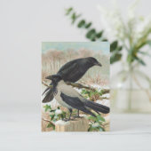 Illustratie van de  vogel van de Krokoen Briefkaart (Staand voorkant)