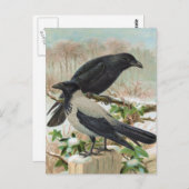 Illustratie van de  vogel van de Krokoen Briefkaart (Voorkant / Achterkant)