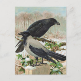Illustratie van de  vogel van de Krokoen Briefkaart