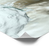 Illustratie van de vogelgriepcellen poster (Hoek)