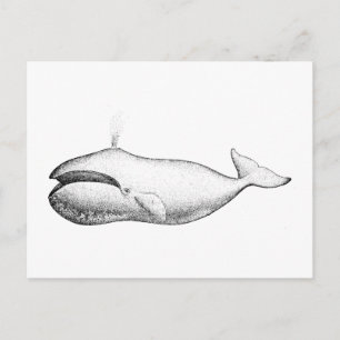 Illustratie van de  walvis briefkaart