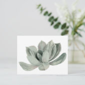 Illustratie van de Waterverf van het Succulent Pla Briefkaart (Staand voorkant)