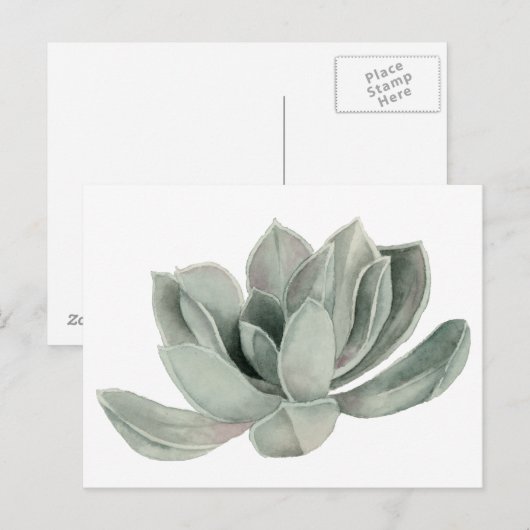 Illustratie van de Waterverf van het Succulent Pla Briefkaart (Voorkant / Achterkant)