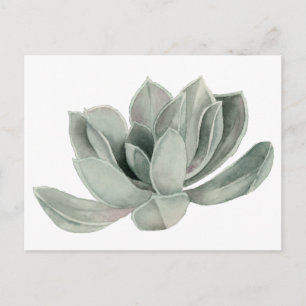 Illustratie van de Waterverf van het Succulent Pla Briefkaart