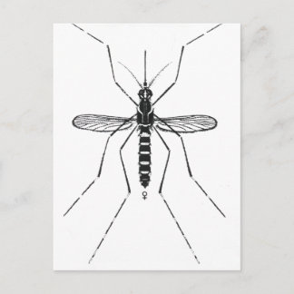Illustratie van de wetenschappelijke nomenclatuur  briefkaart