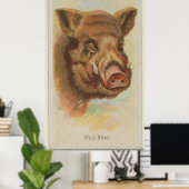 Illustratie van de  Wilde Boar (1888) Poster (Thuiskantoor)