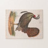 Illustratie van de  Wilde Turkije (1872) Legpuzzel (Horizontaal)