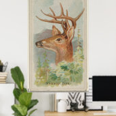 Illustratie van de  Witte Staarder (1888) Poster (Thuiskantoor)