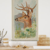 Illustratie van de  Witte Staarder (1888) Poster (Keuken)