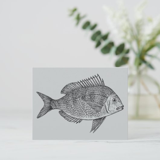  illustratie van de zeescheepvaart briefkaart (Staand voorkant)