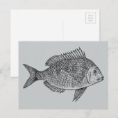  illustratie van de zeescheepvaart briefkaart (Voorkant / Achterkant)