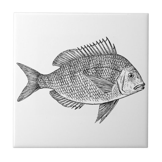 illustratie van de zeescheepvaart tegeltje (Voorkant)