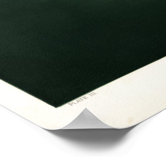  illustratie van de zonnepanelen poster (Hoek)