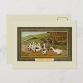  illustratie van dieren Consulting van de Oracle Briefkaart (Voorkant / Achterkant)