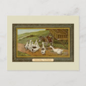 illustratie van dieren Consulting van de Oracle Briefkaart (Voorkant)