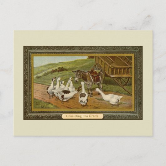  illustratie van dieren Consulting van de Oracle Briefkaart (Voorkant)