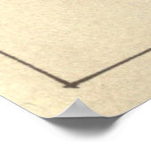  illustratie van diverse haaien poster (Hoek)