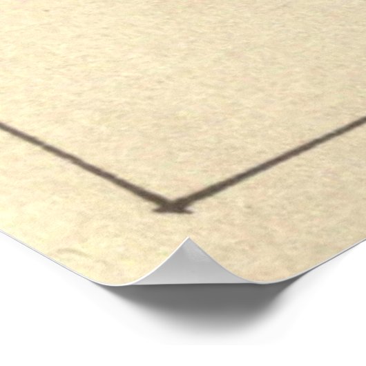  illustratie van diverse haaien poster (Hoek)