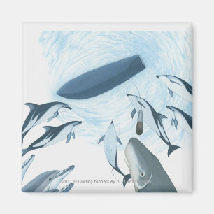 Illustratie van dolfijnen die naar een boot kijken magneet