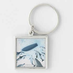 Illustratie van dolfijnen die naar een boot kijken sleutelhanger