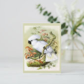  illustratie van door zwavelcresten veroorzaakte C Briefkaart (Staand voorkant)