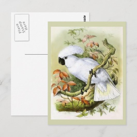  illustratie van door zwavelcresten veroorzaakte C Briefkaart (Voorkant / Achterkant)