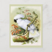  illustratie van door zwavelcresten veroorzaakte C Briefkaart (Voorkant)