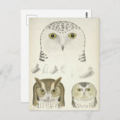 illustratie van drie uilen briefkaart (Voorkant / Achterkant)