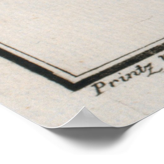  illustratie van een bot (1785) 2 poster (Hoek)