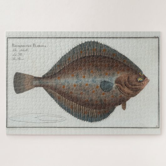  illustratie van een bot (1785) legpuzzel (Horizontaal)