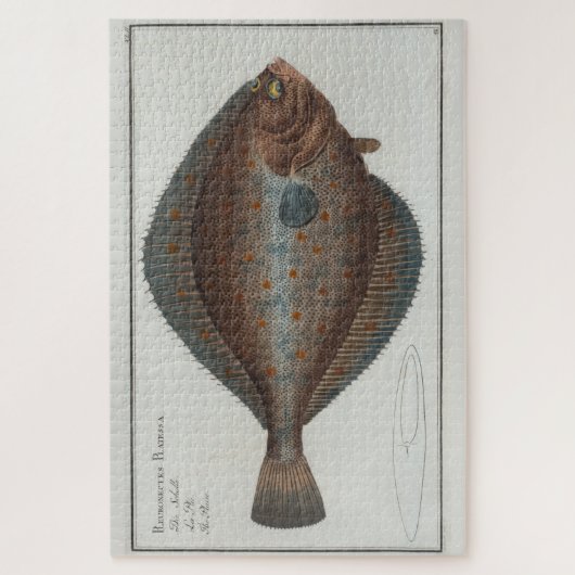 illustratie van een bot (1785) legpuzzel (Verticaal)