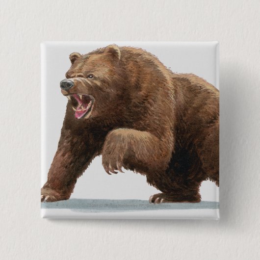 Illustratie van een bruin beer vierkante button 5,1 cm (Voorkant)