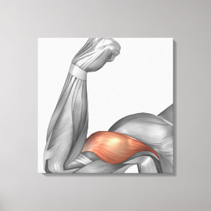 Illustratie van een buigzame arm met een snijpunt canvas afdruk