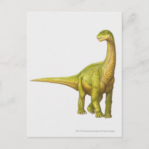 Illustratie van een Camarasaurus Briefkaart