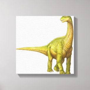 Illustratie van een Camarasaurus Canvas Afdruk