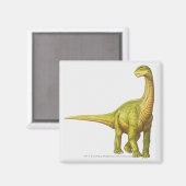 Illustratie van een Camarasaurus Magneet (Voorkant / Achterkant)