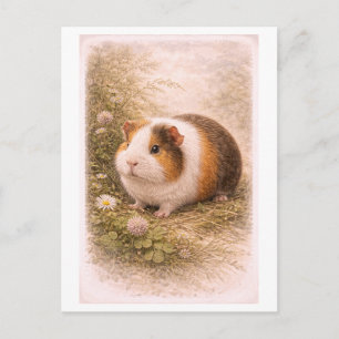 Illustratie van een cavia in vintage-stijl briefkaart