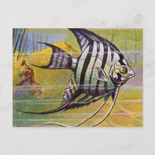 illustratie van een Engelsman Briefkaart (Voorkant)