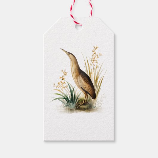 illustratie van een Euraziatische Bittern Gift Ta Cadeaulabel (Voorkant)