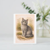 Illustratie van een grijze kat in vintage stijl briefkaart (Staand voorkant)