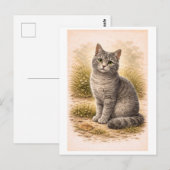 Illustratie van een grijze kat in vintage stijl briefkaart (Voorkant / Achterkant)