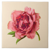  illustratie van een grote koraalroze pony tegeltje (Voorkant)