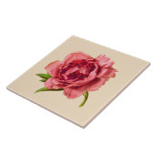 illustratie van een grote koraalroze pony tegeltje (Zijkant)